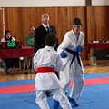 South Cup 2013